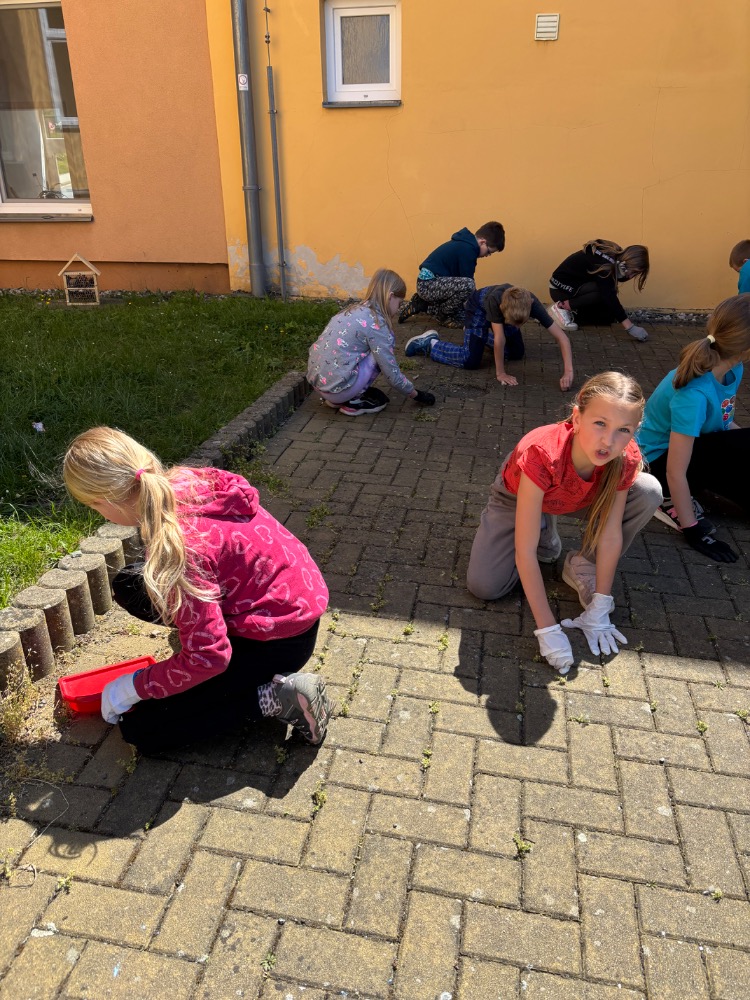 IMG_7743