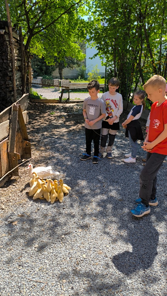 IMG_20250428_133628