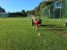 20250919_084138_3_11zon