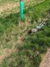IMG_20260410_133309