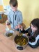 IMG_20260423_131535